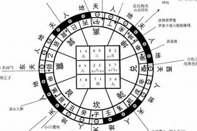 孙磊的介绍