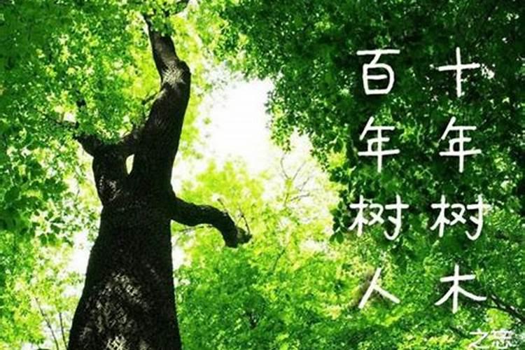 西胜沟旅游景点介绍图片 西胜沟自然风景区