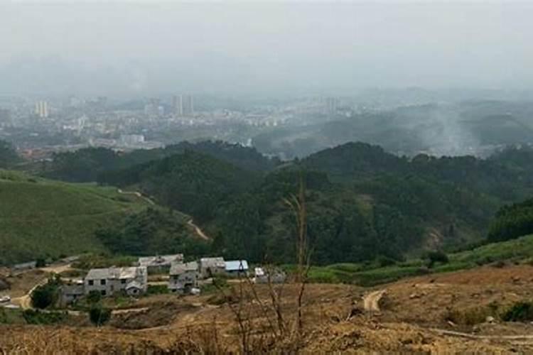 上山虎招财还是下山虎招财上山虎好还是下山虎好？