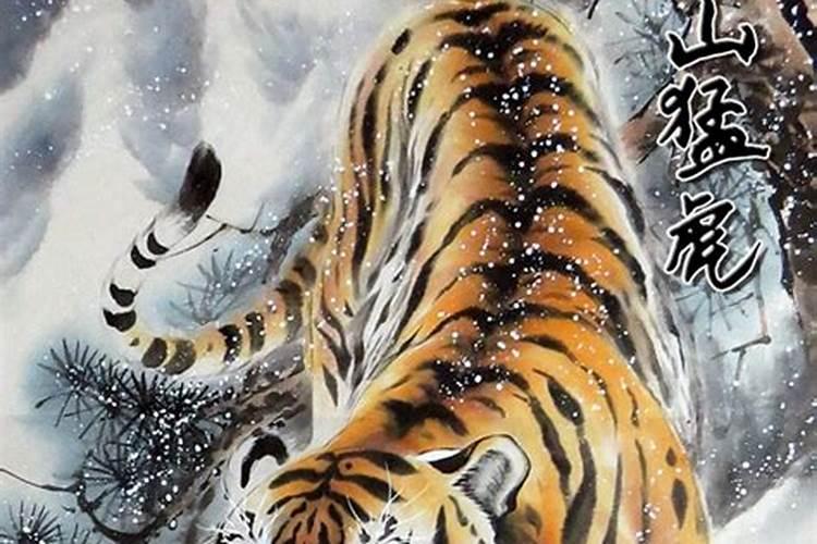 下山虎是不是不好