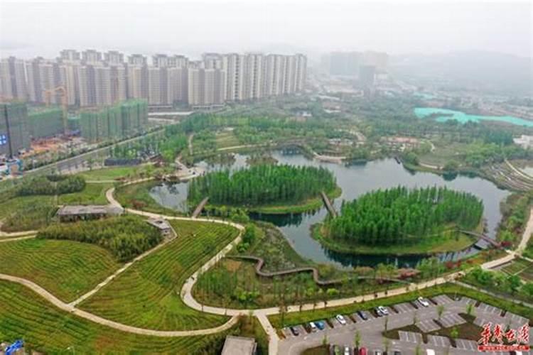 去长沙联江公园游玩的体验怎么样？