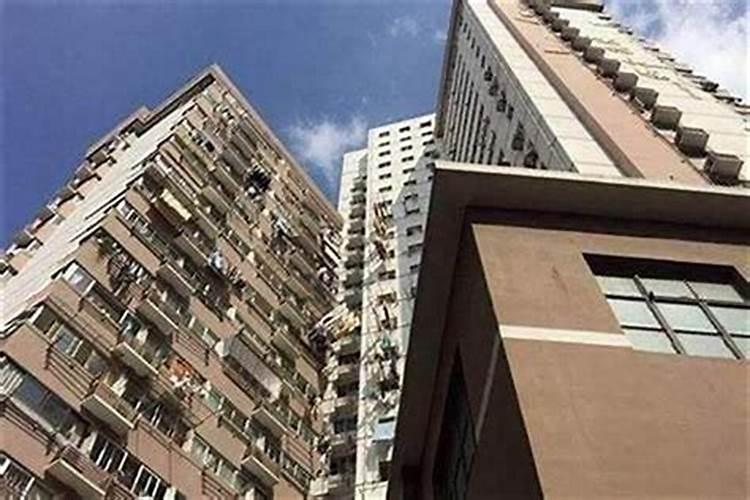 风水师收徒
