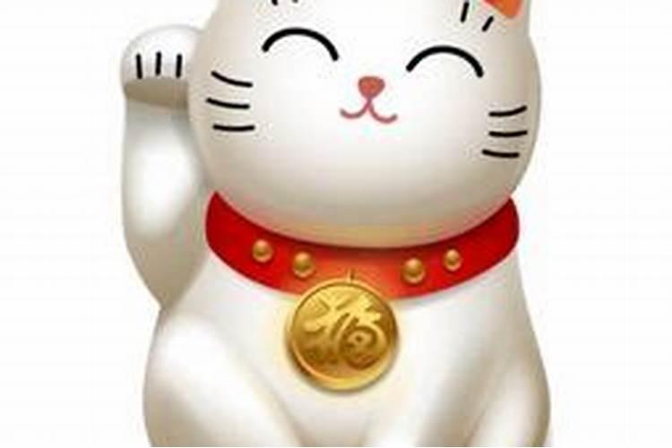 墙板装修房子好不好