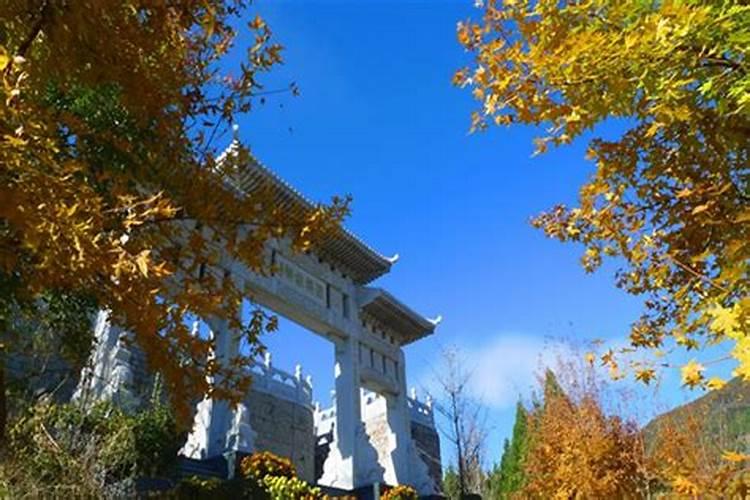 按风水来说,展销会大棚几米宽最好？