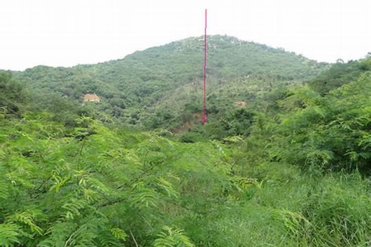 阴宅风水宝地有哪些特征