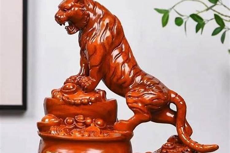 家人养什么最旺财运呢