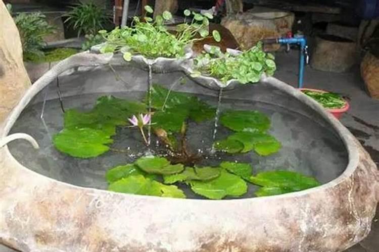 风水池鱼缸应该怎么摆放