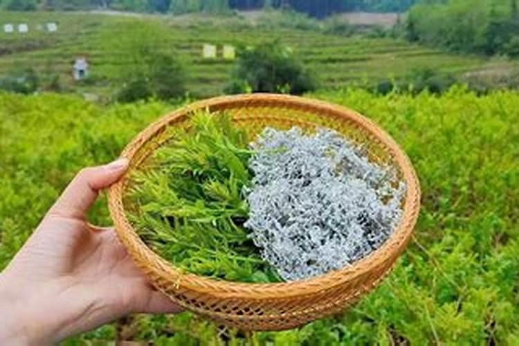 卧室窗户外面自家小院做鱼池好吗？