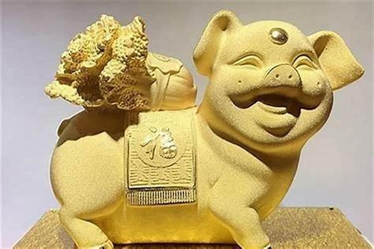 属猪摆放什么旺财