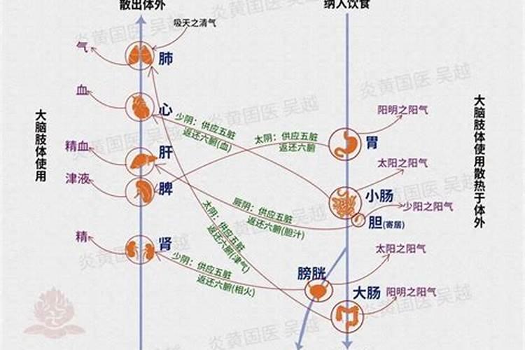 什么是三阴三阳呢？