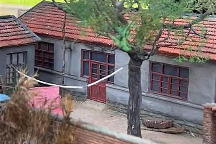 俗语“明堂如播米,子孙穷到底”,明堂是什么？