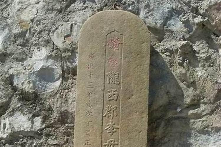 风水师装傻是哪部小说