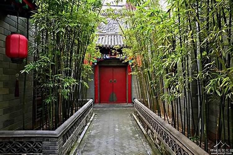 门前有竹子的房子风水