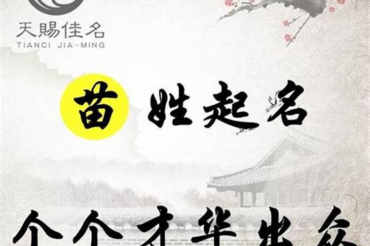 苗的五行属性是什么,数字五行属性是以哪个为