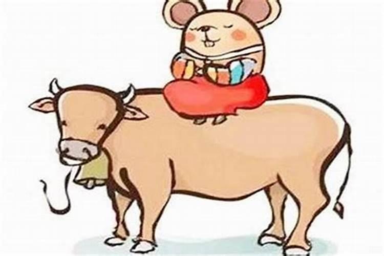 什么颜色对属牛最旺