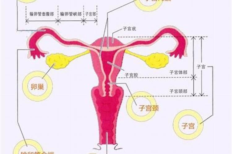 农村大门有哪些吉祥尺寸？