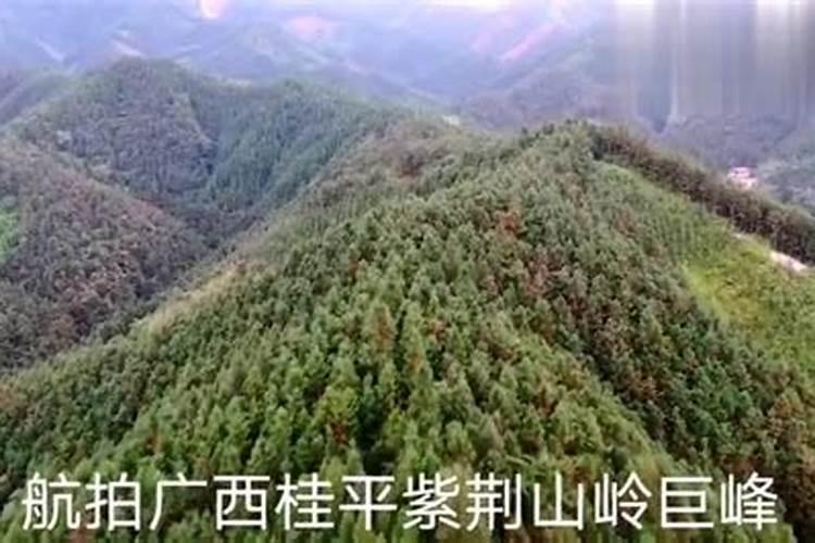 紫荆镇地理位置