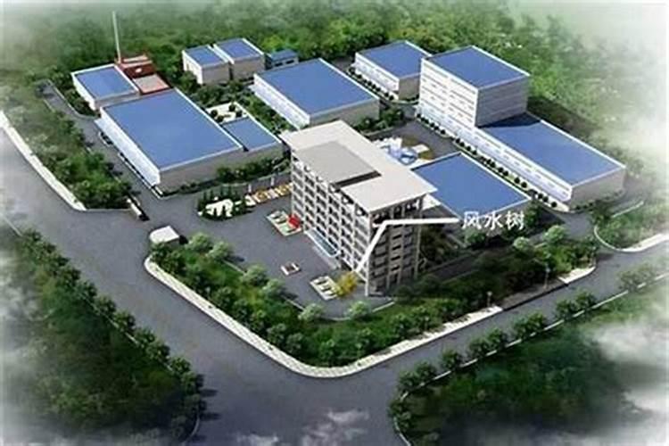 房子正对学校操场风水