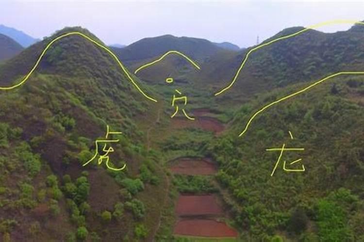 你不可不知的风水常识作者简介