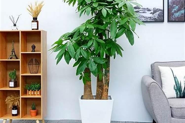 办公室风水摆件前十名有哪些