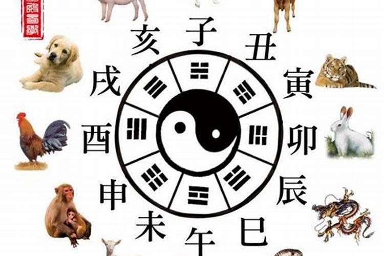 蓬莱松风水禁忌