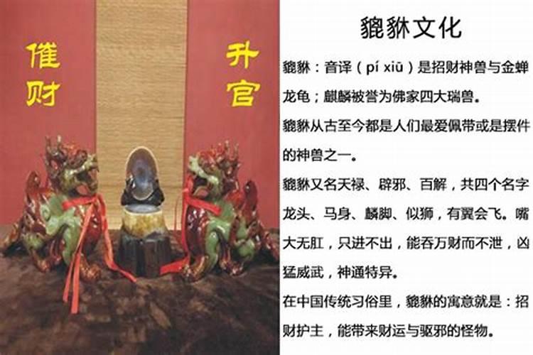 菩提树风水作用与寓意