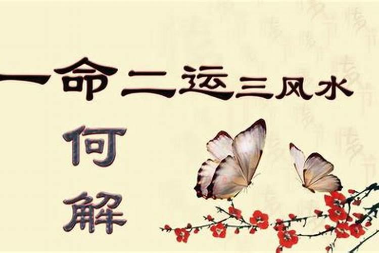 身为白居易的情敌也是宰相的他,真的是被刺杀身亡的吗？