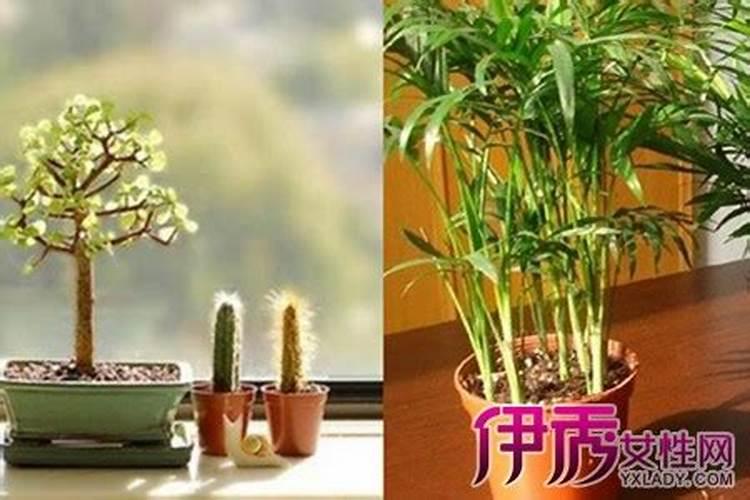 新房铺床有什么讲究 新婚铺床有哪些讲究