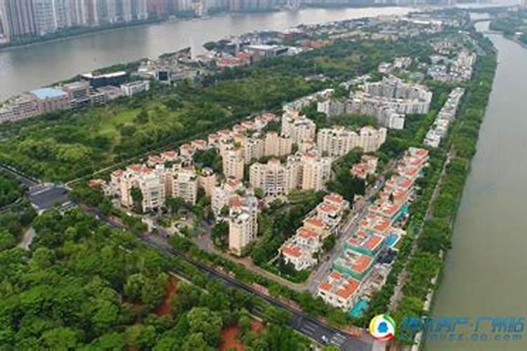 养什么花发大财最旺风水