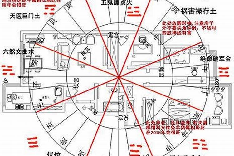大学里有风水专业吗