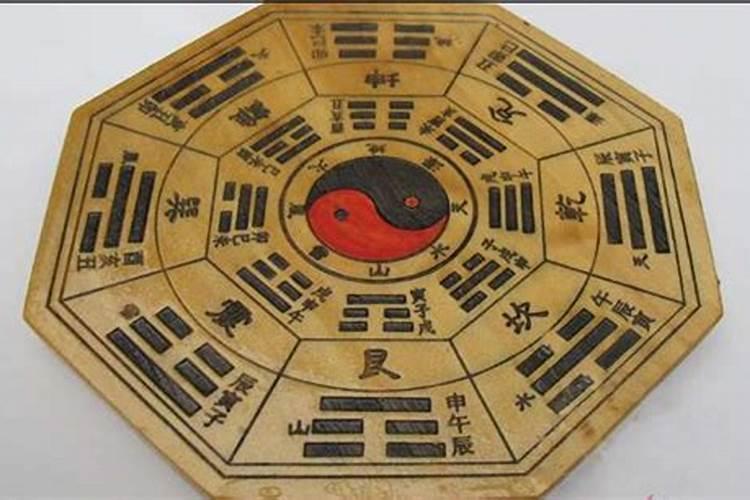 浅盆适合种什么花
