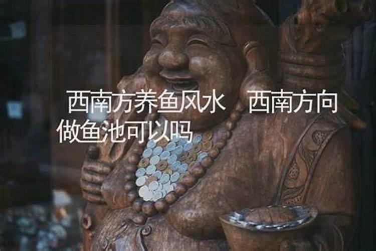 养什么鱼财运最好最旺风水