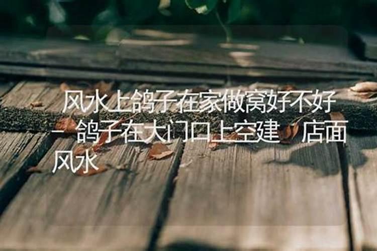 天鹅起飞阴宅风水好吗