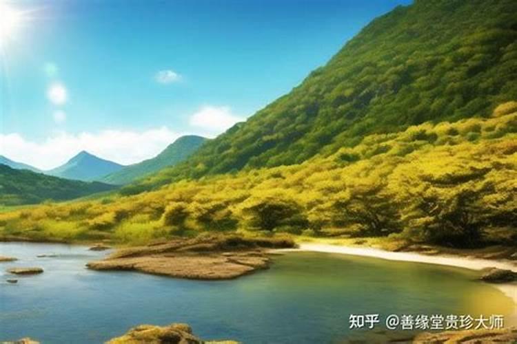 张大文风水师张大文