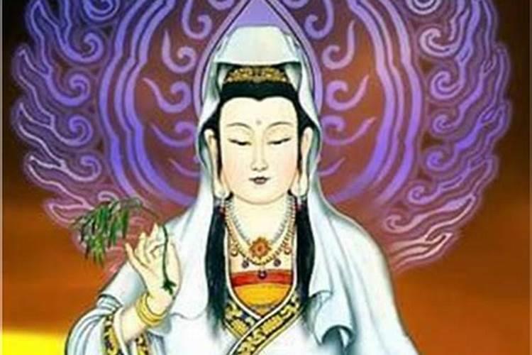 哪些鱼算做风水鱼