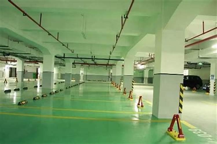 入户门正对放什么植物