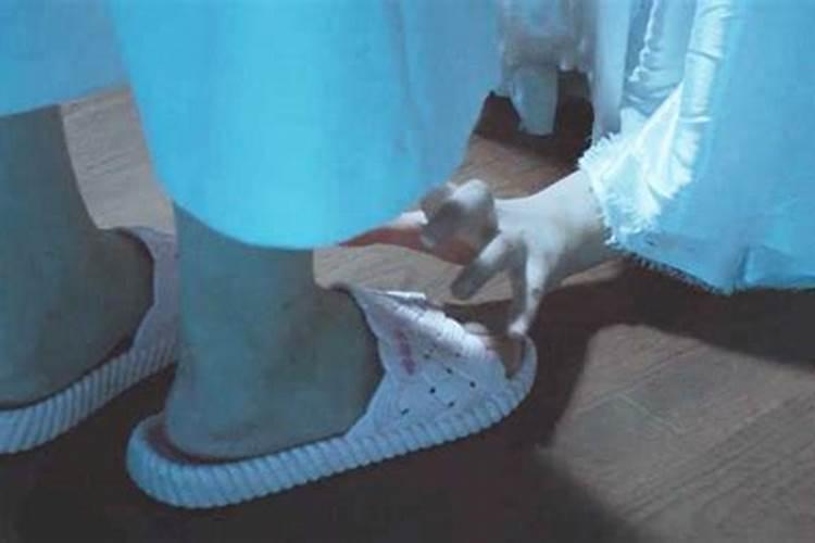 女主算命看风水类小说