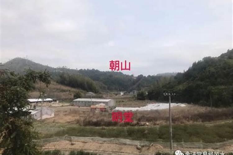 孙晓岐人物介绍