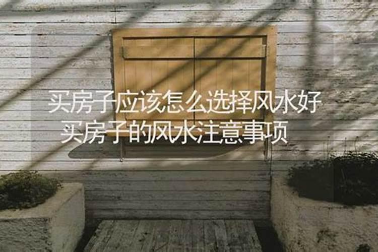 发财最猛的阳宅风水 让儿子有出息的风水布置
