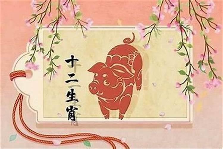 算命属猪的人命好不好