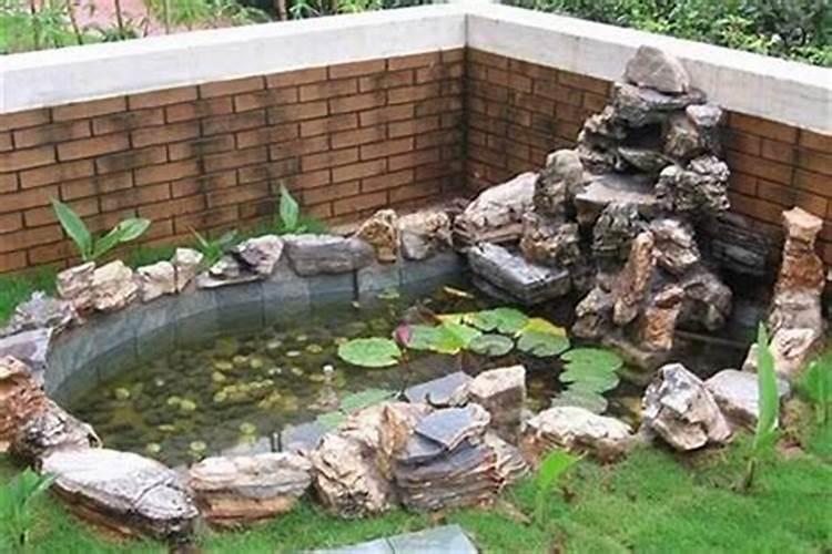 我想在院子里建一个水池,请教一下懂风水的是否可行？