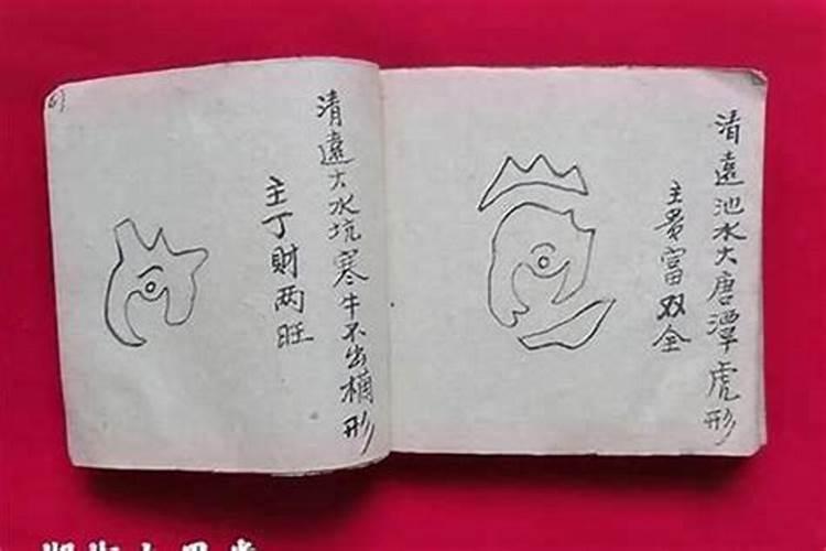 看风水人看了坟地风水',几代人受益他用什么法知道′的,他的寿命比常人...