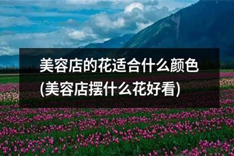 美发店招财养什么绿植美发店种哪些植物旺财