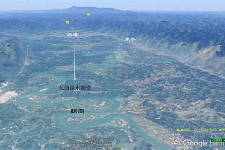 办公室窗外种什么树风水好