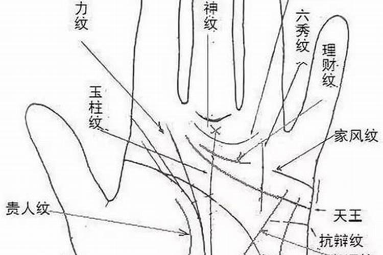 周易的数术体现在哪？？
