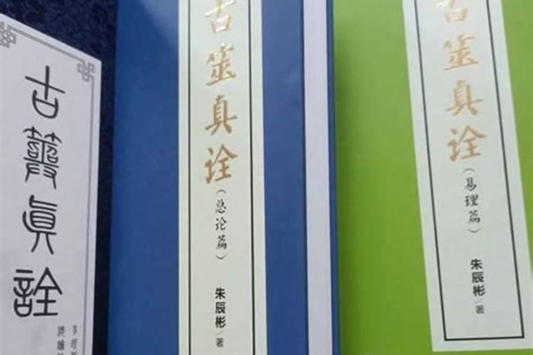 朱辰彬人物简介