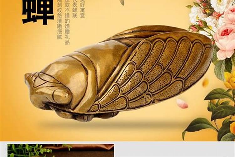 茶具金蝉怎么摆放 这样摆放一年都招好运气
