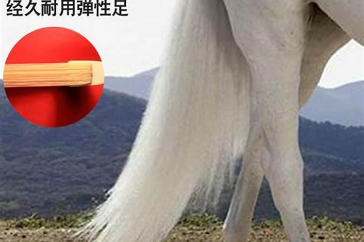 赵廉坟的传说