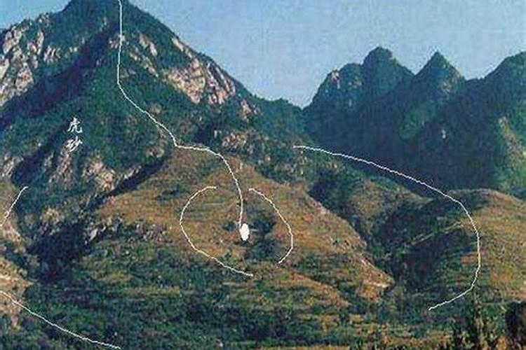 白宫坚毅桌是什么材质