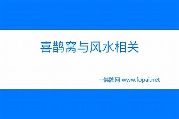 喜鹊在家附近做窝是好是坏？